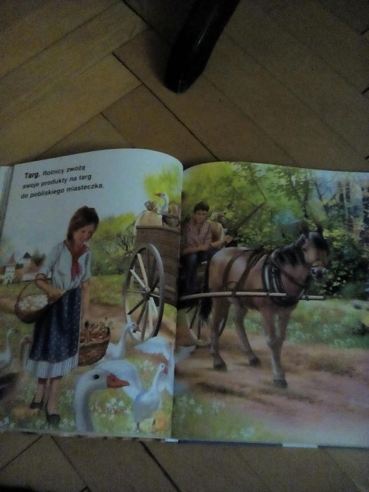 Piekne ilustrowane zdjęciami dla dzieci opowieści o życiu na wsi