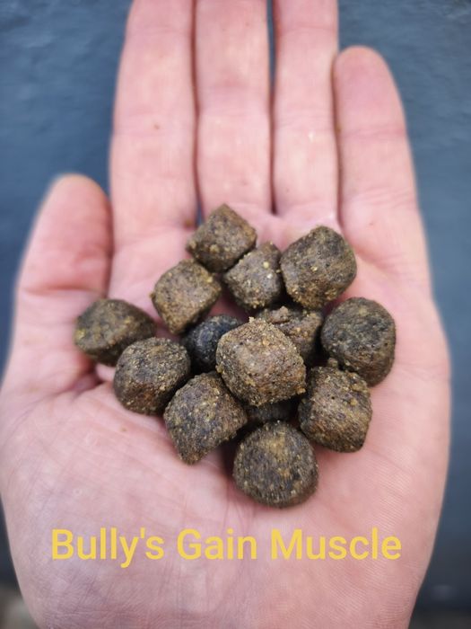 Ração para Bully's e raças fortes GRAINFREE || 20kg