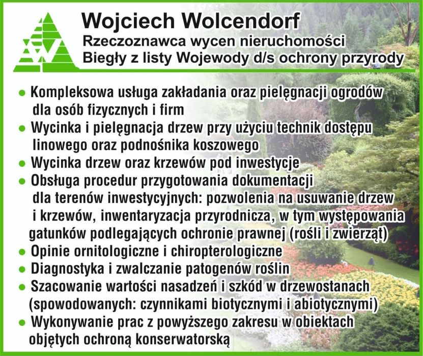 Wycinka drzew Pielęgnacja drzew i zieleni Usługi ogrodnicze