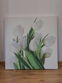 Obraz tulipany 80x80 cm