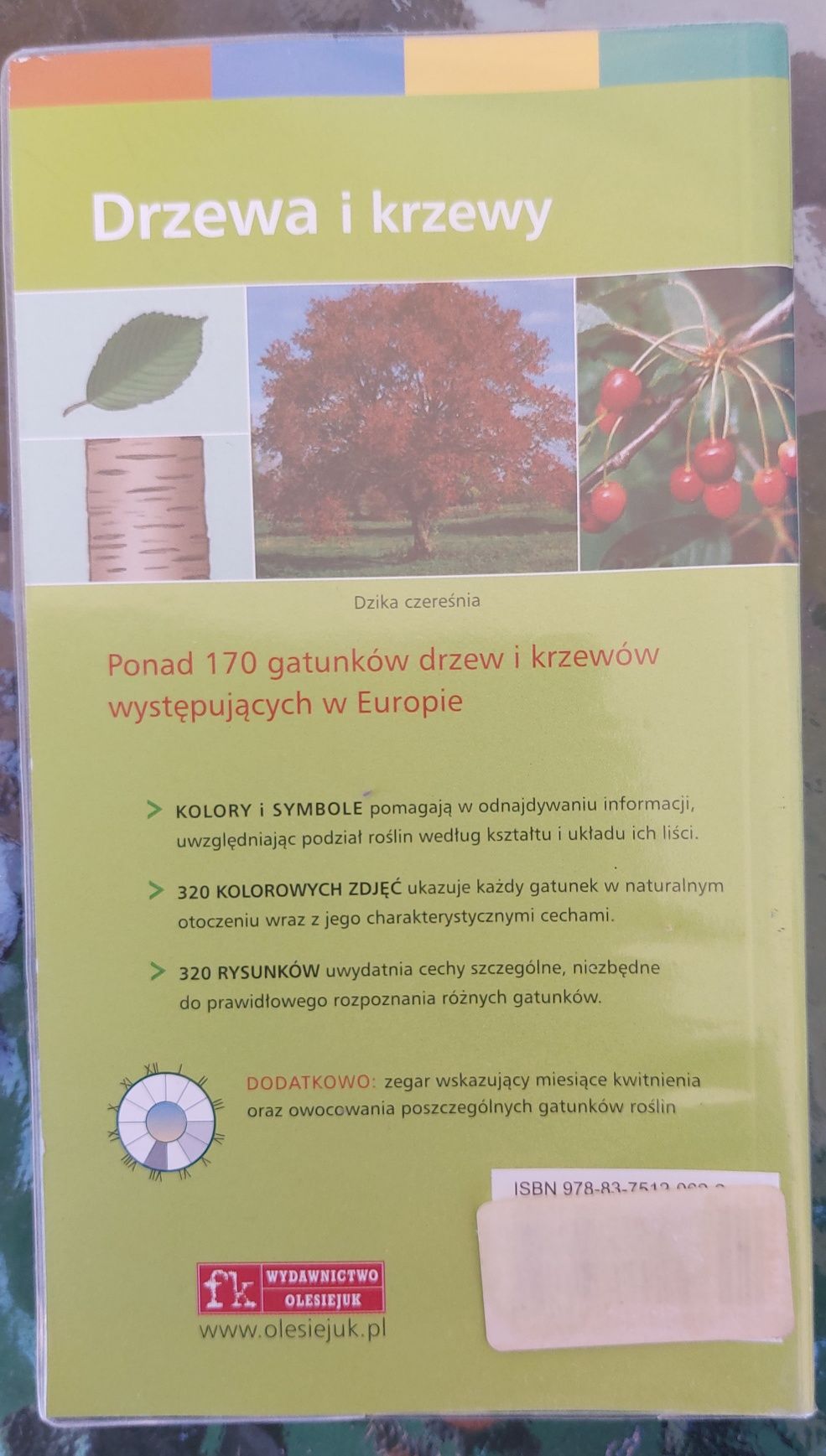 Drzewa i krzewy. Przewodnik.