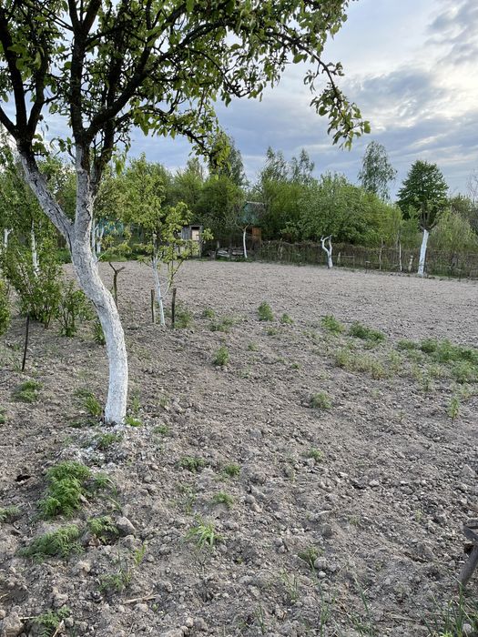 Продам дачну ділянку