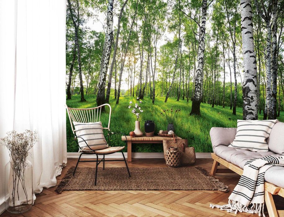 Tapeta, fototapeta Las brzozowy