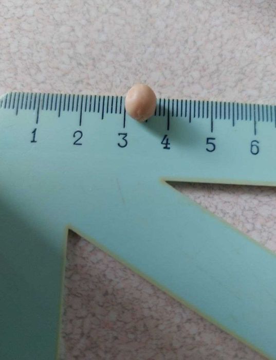 Горох для рыбалки и посадки