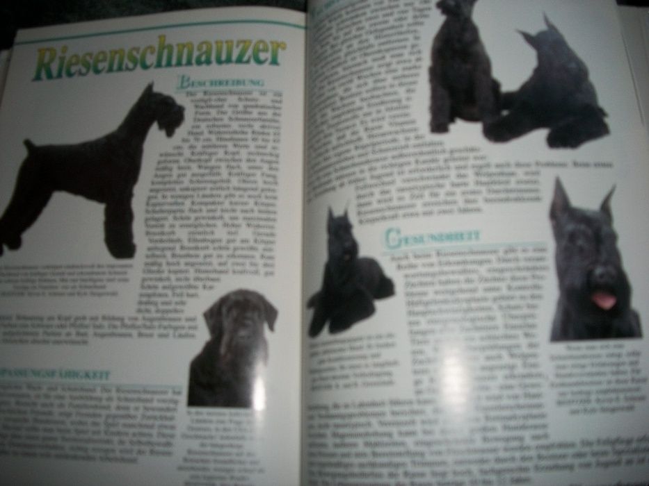 Альбом пород собак на немецком языке