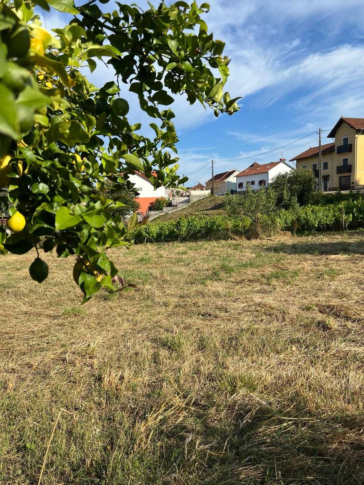 Quintinha para construção de habitação