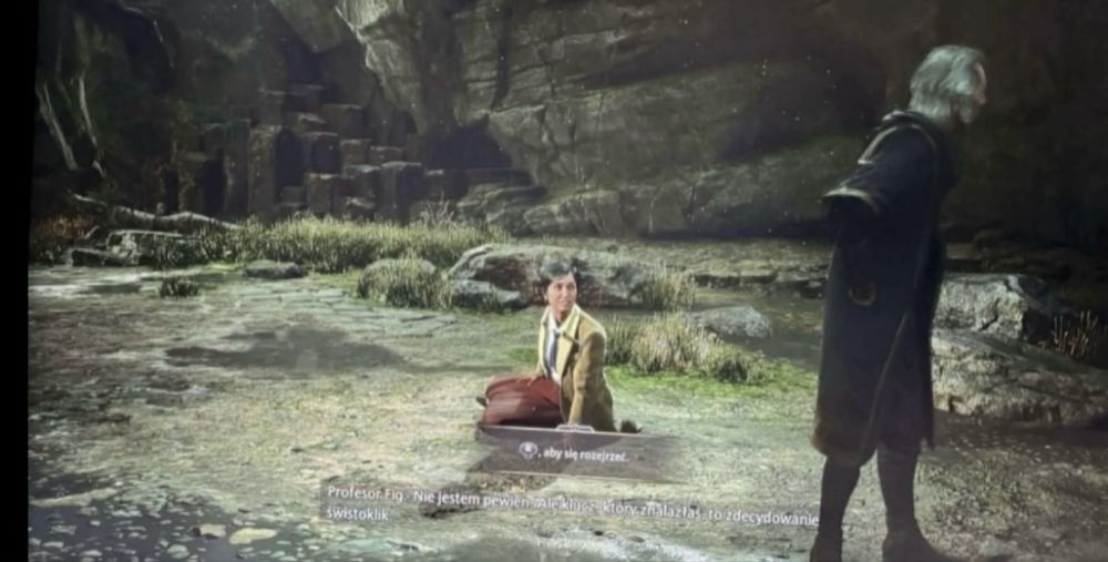 Gra Dziedzictwo Hogwartu Hogwart's Polska PL Xbox One S X Series X