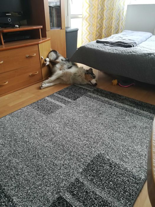 Zestaw mebli pokojowych, meblościanka