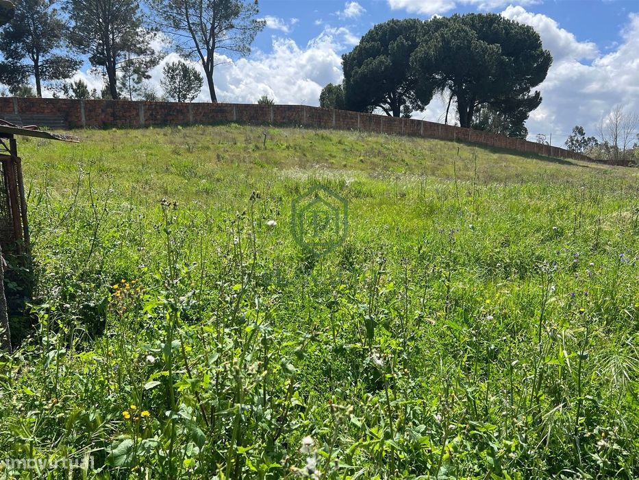 Terreno  Venda em Vendas Novas,Vendas Novas