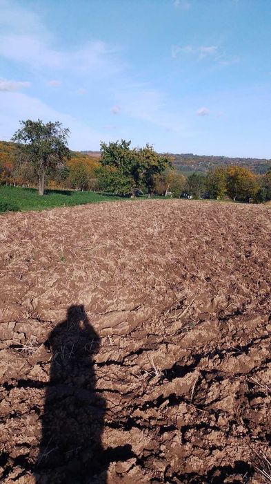 Продам будинок, с. Куча. ділянка 50 ст.