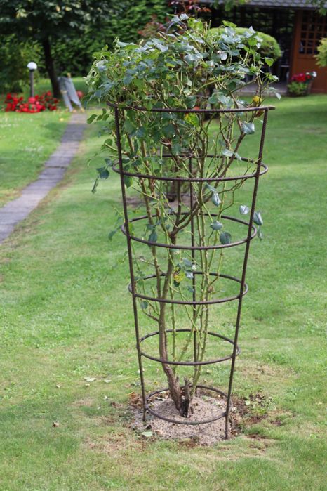 Stalowy klosz podpora na róże/kwiaty