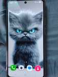 Samsung   S   21 FE