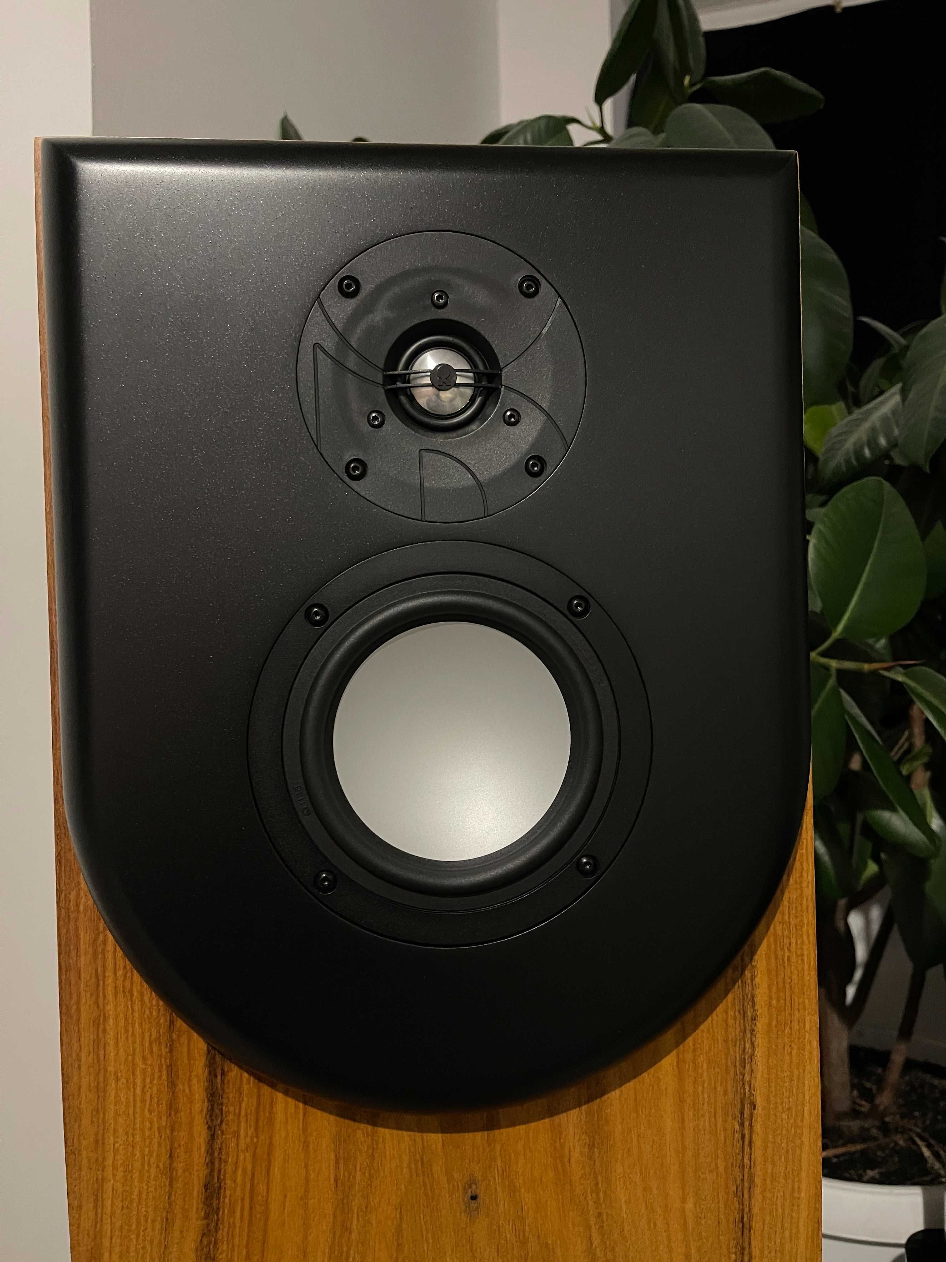 Напольная акустическая система Revel Performa F 30, колонки Revel F 30