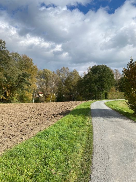 Działka Nowy Borek  30 arów WZ