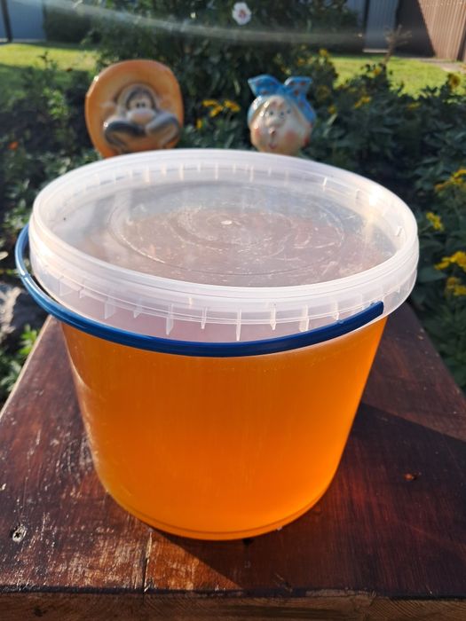 Мед соняшника 2025