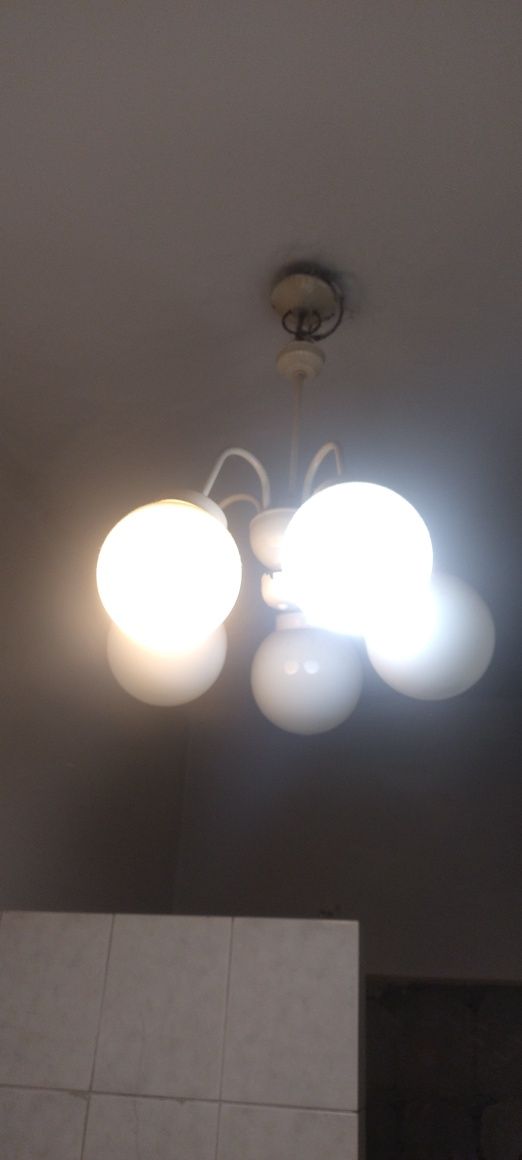 Oryginalna lampa PR
