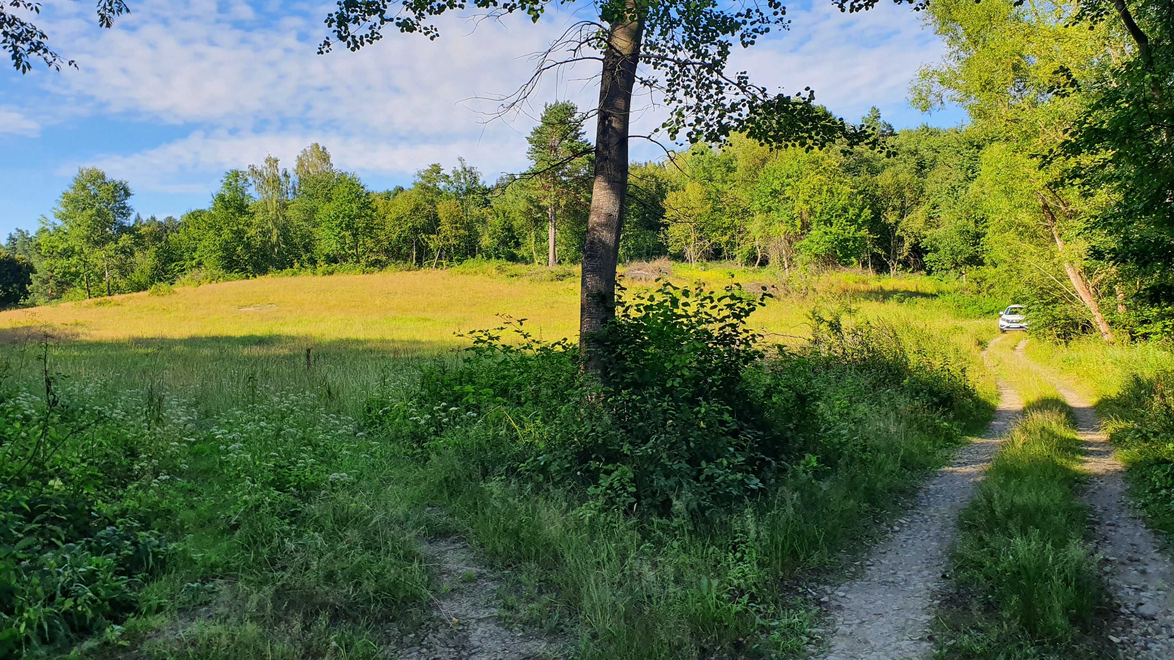 PIĘKNA Działka Rekreacyjna Rolna BIESZCZADY Ustjanowa Dolna 2,7 HA