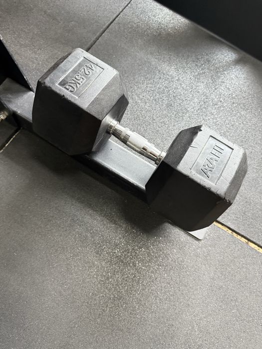 Par de halteres de 45kg cada hexagonal