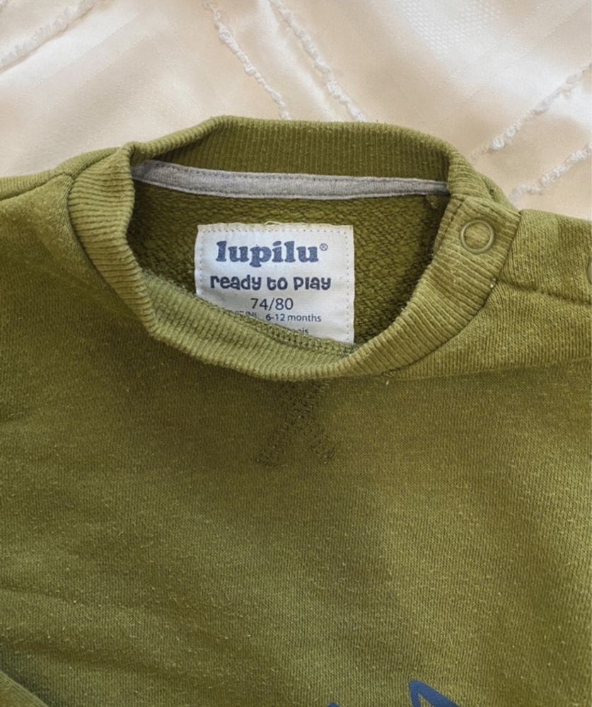 Sweter Lupilu dla chłopca na 74