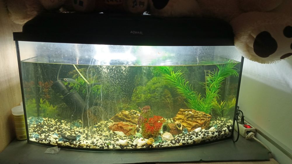 Akwarium Aquaell 120L+ bardzo dużo dodatków