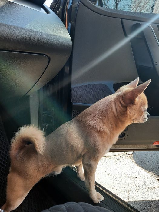 Молодий хлопець шукає дівчинку