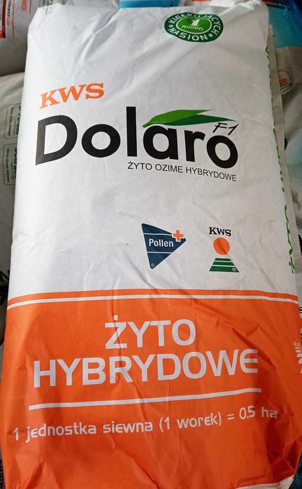 Żyto hybrydowe KWS Dolaro