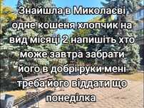 Віддаю кошеня хлопчик