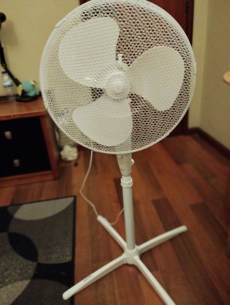 Ventoinha de Chao novo