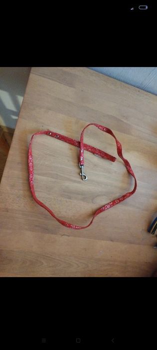 Czerwona smycz dla psa