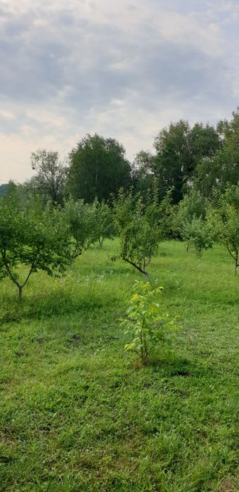 Будинок, літня кухня, 1 га землі з виходом до річки, с. Іванків