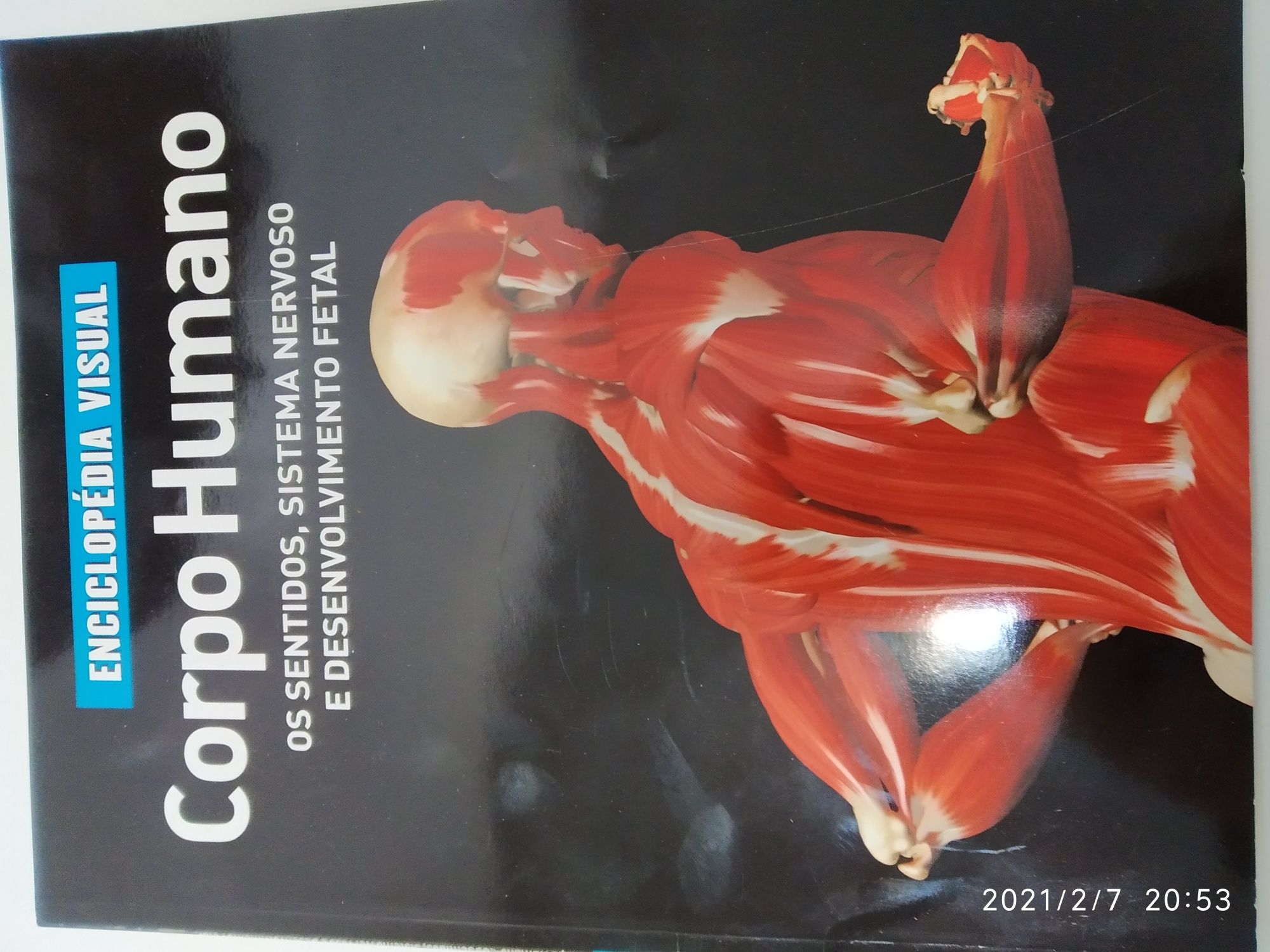 Livros "Corpo Humano" conjunto de 4