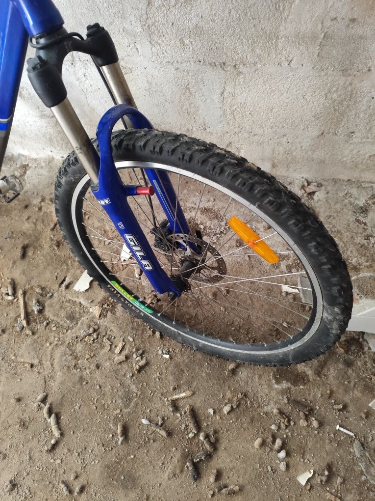 Bicicleta de montanha