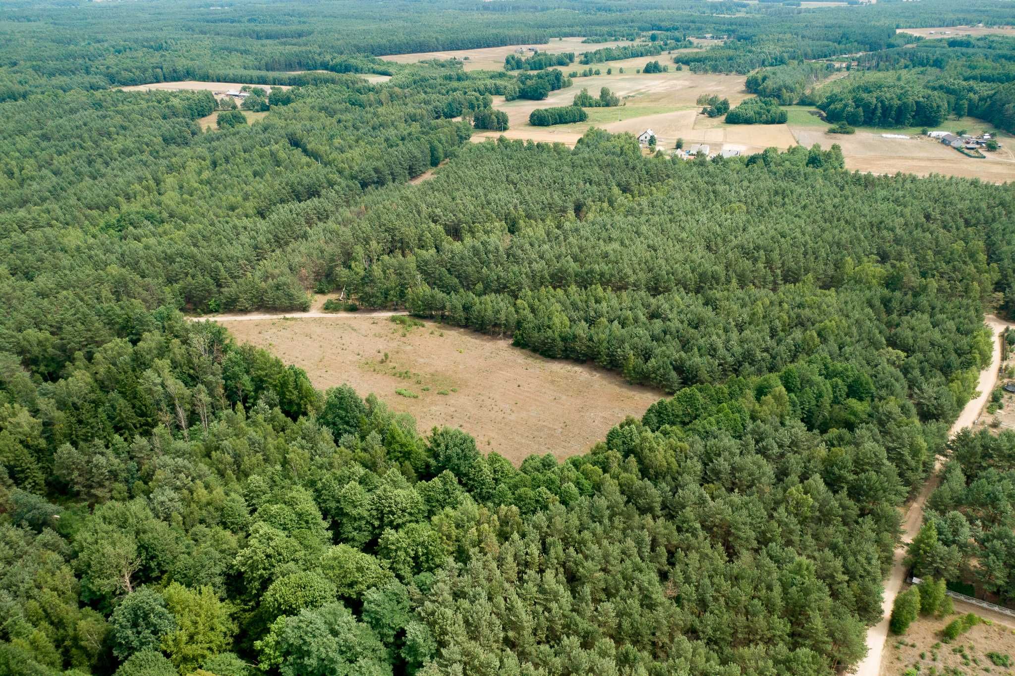 Działka 710 m2 nad jeziorem Łąkie bezpośrednio przy lesie