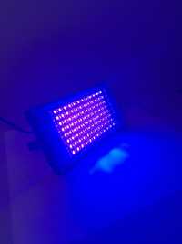 Reflektor UV ultrafiolet