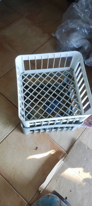 Máquina de lavar loiça, chávenas e copos industrial