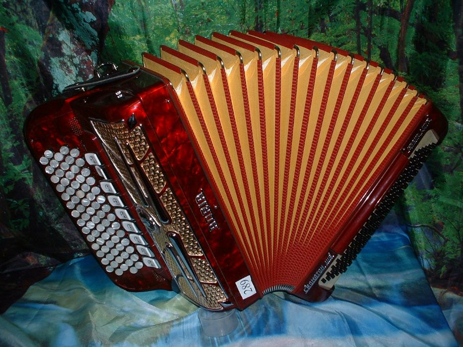 Acordeão Avenda G, .289