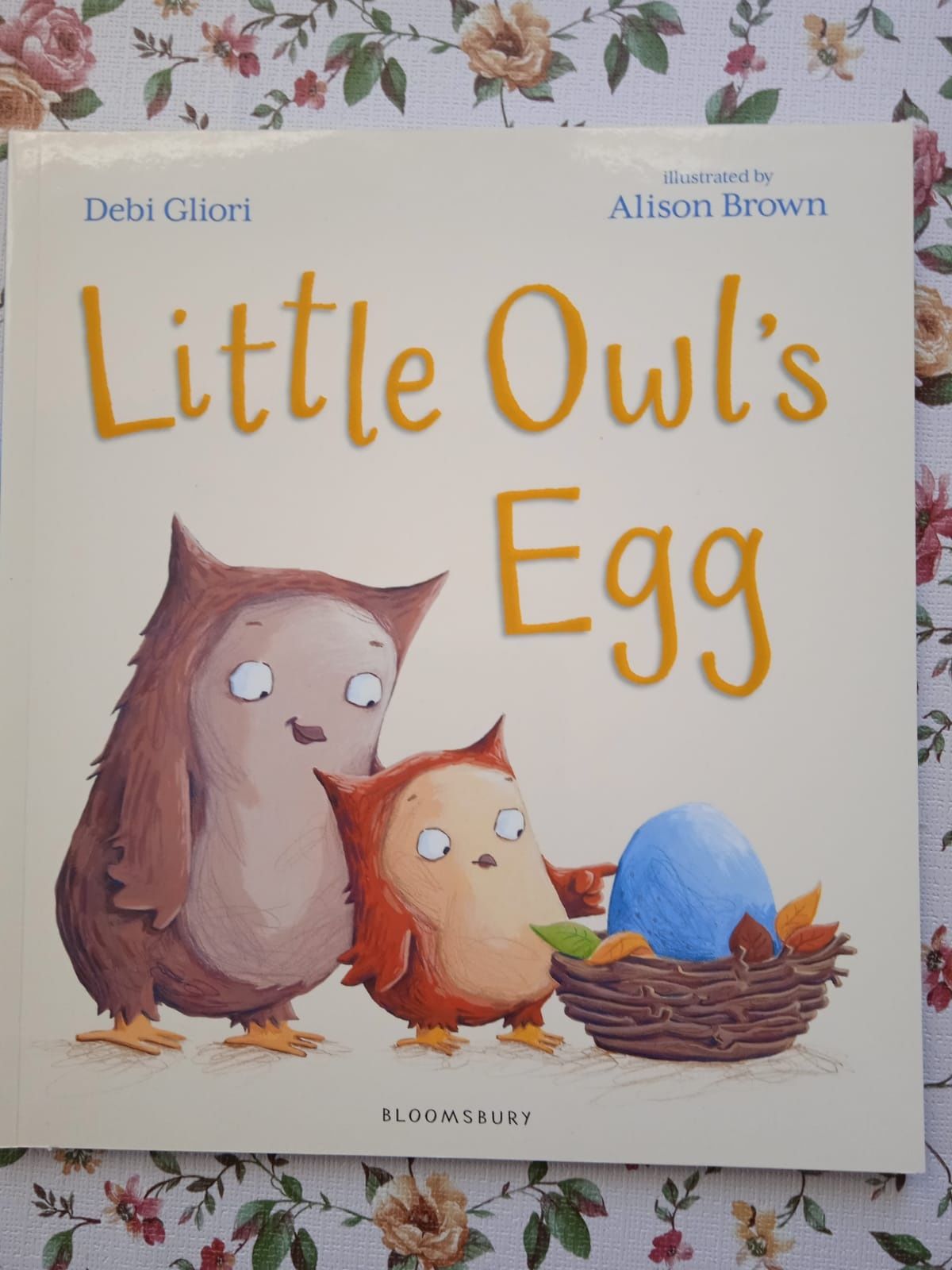 Książka dla dzieci Little Owl's Egg po angielsku