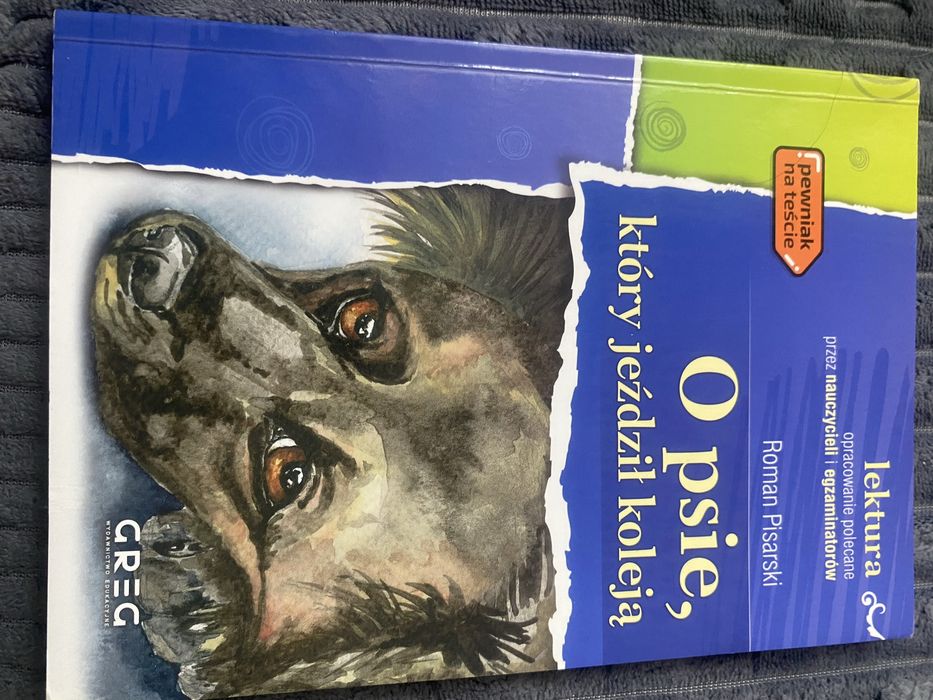 O psie, który jeździł koleją