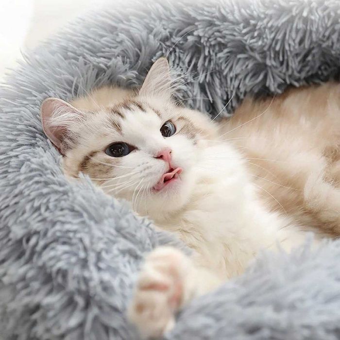 Лежанка для котів та собак "Пончик" 50-60-70-80 см