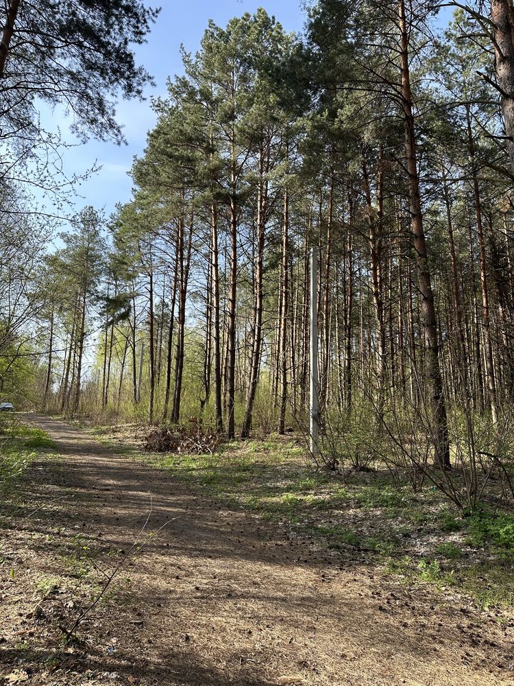 Ділянка 11 сот в елітному районі Дмитрівки, ліс, асфальт, електрика