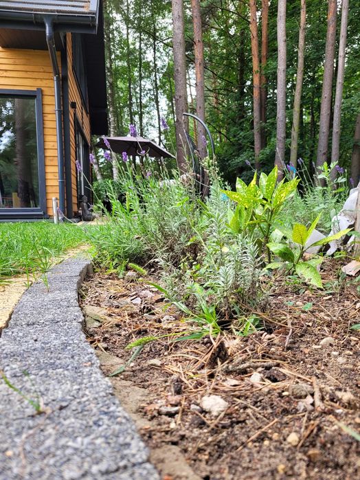 DOMEK POD SOSNAMI bania&sauna Ełk-Chrusciele