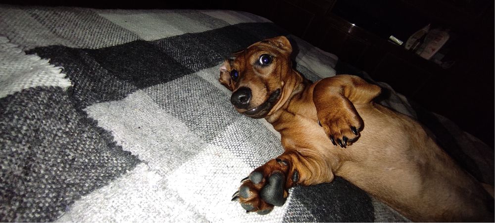 Молодий холостяк-кабель такси шукає даму серця