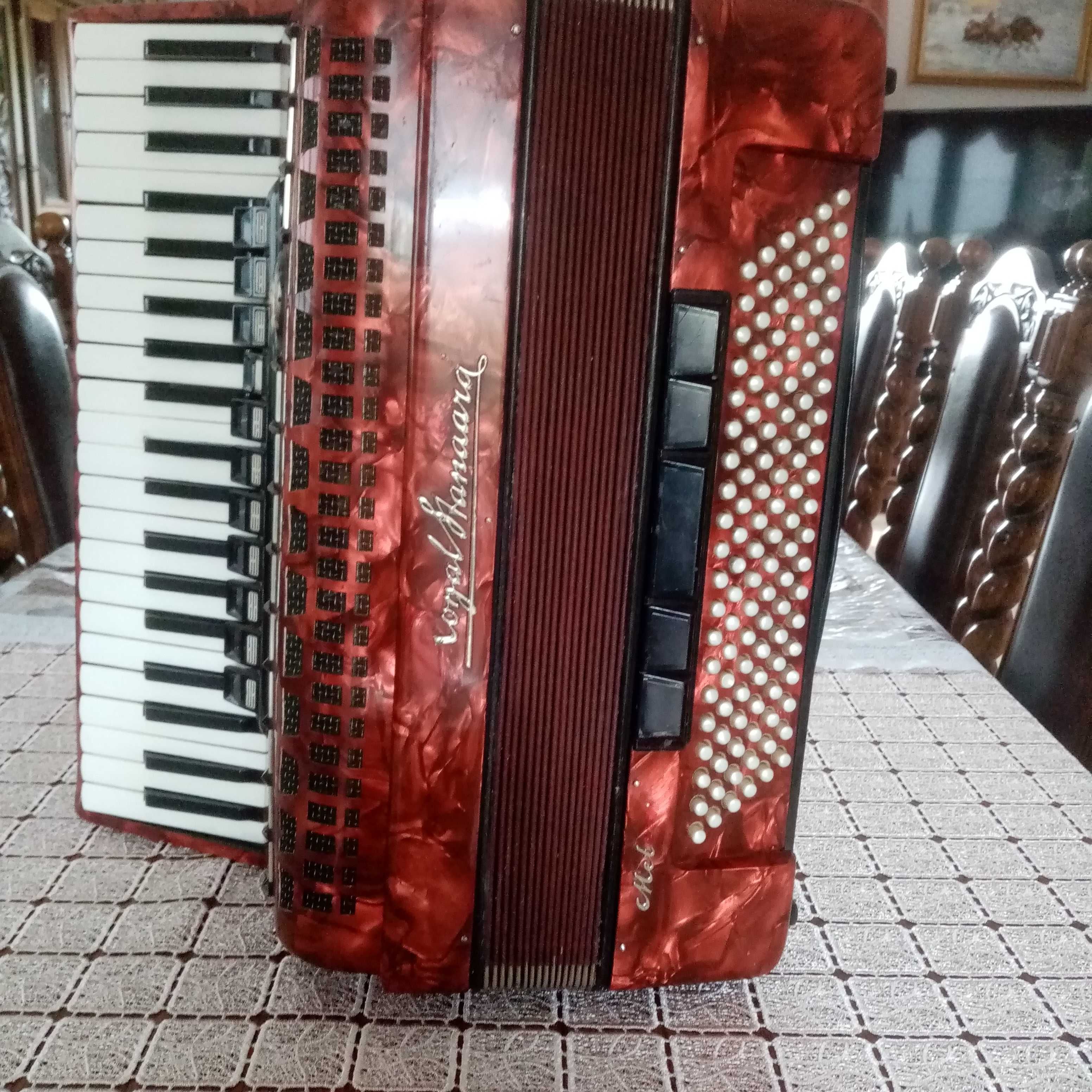 akordeon 120 basów royalstandard Meteor
