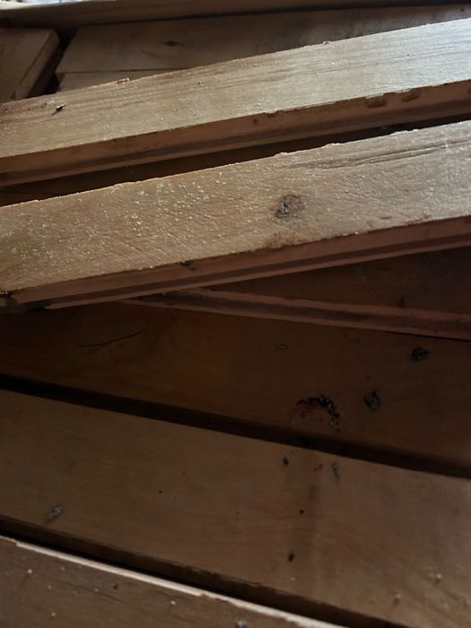 Parkiet sosnowy po demontażu podłogi 20m2