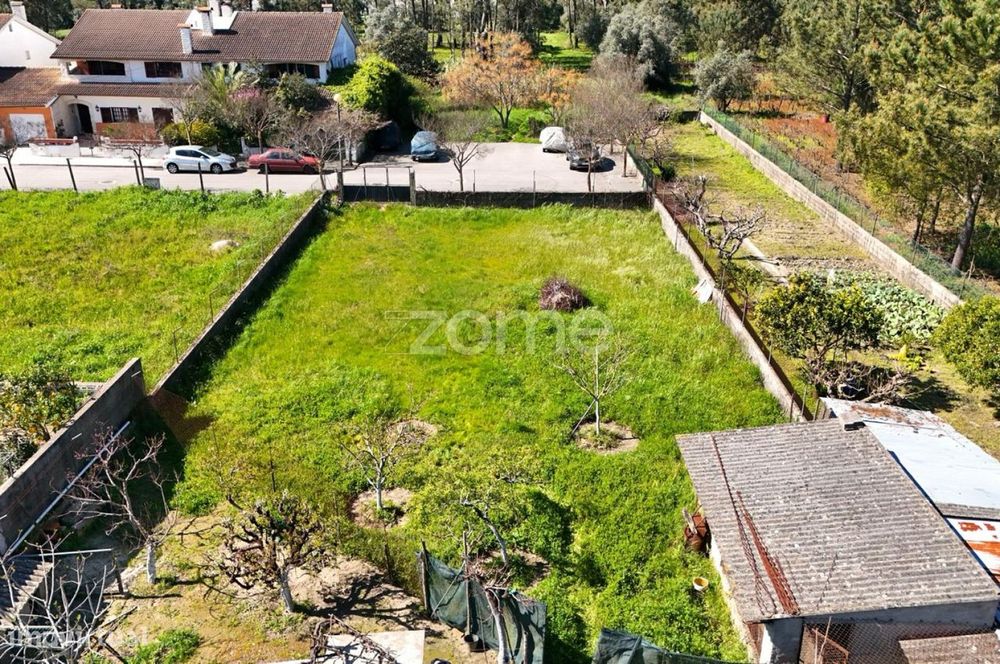 Terreno Urbano | Cantanhede