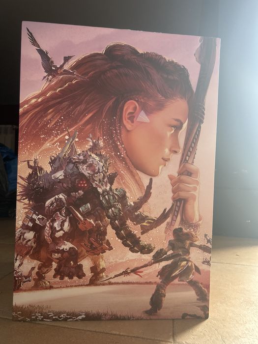 Horizon: Forbidden West - colecionador