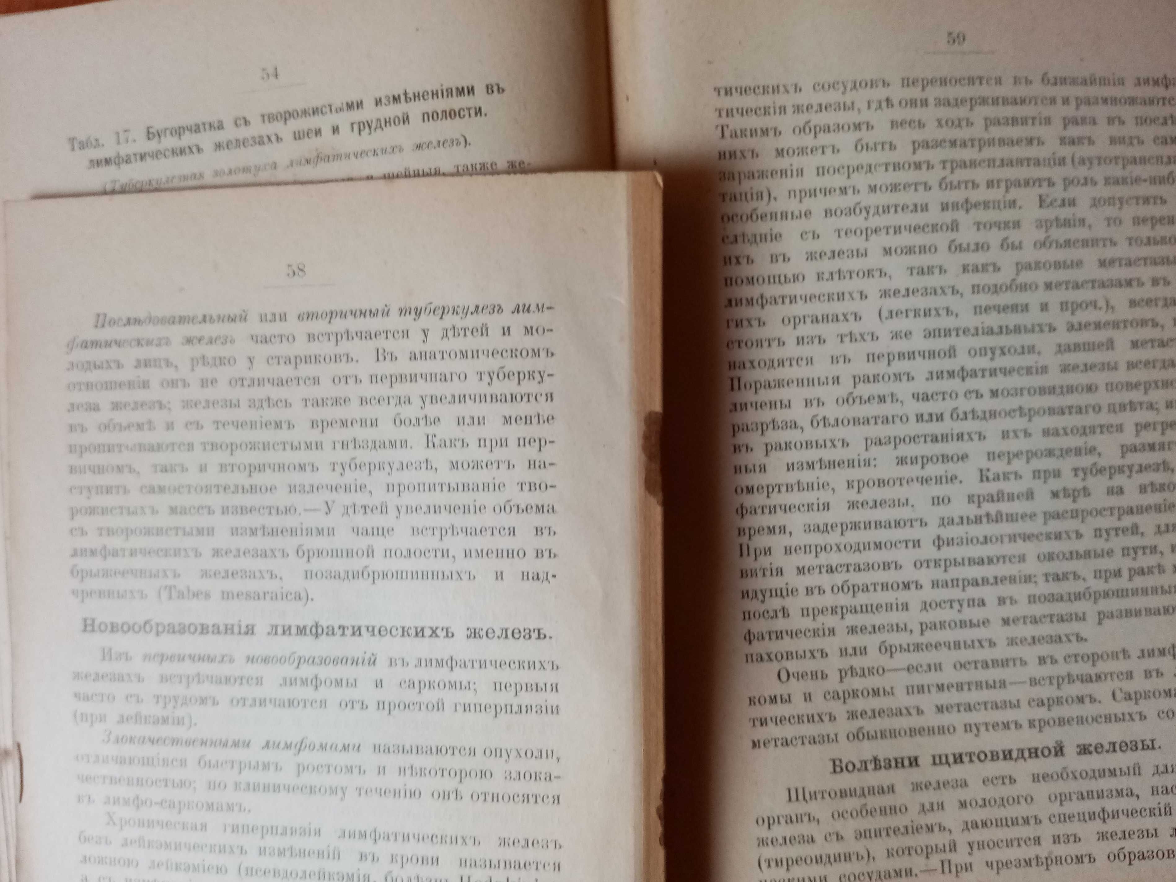 Том 5. Атлас и краткие основы патологической анатомии. Часть 1. 1897г.