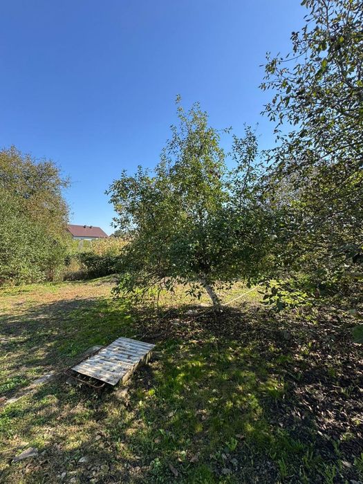 Продам будинок  село Мамаївці