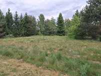 Działka, Ciche, 1800 m2, Pojezierze Brodnickie, woda, prąd, jezioro.