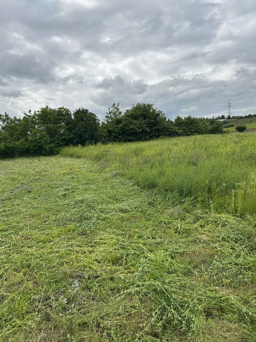 Koszenie trawy, karczowanie, cięcie drwewna